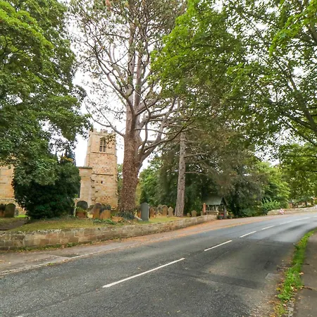 Acorn * Yarm