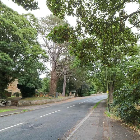 Acorn Yarm