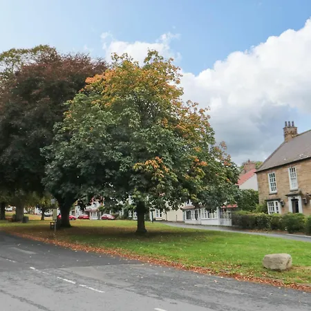 Acorn * Yarm